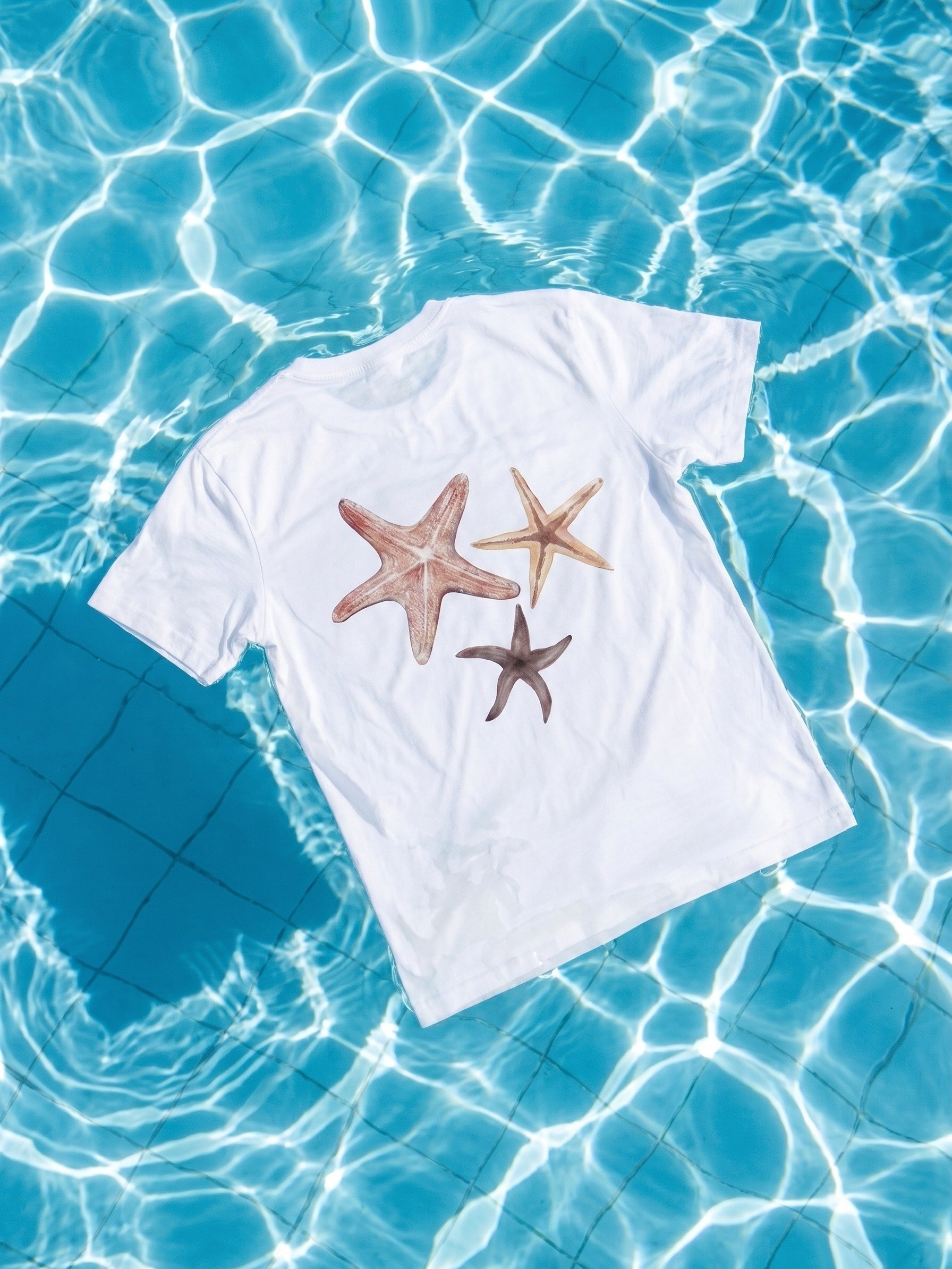 Cuban Concept | Starfishes from Varadero product image (1)