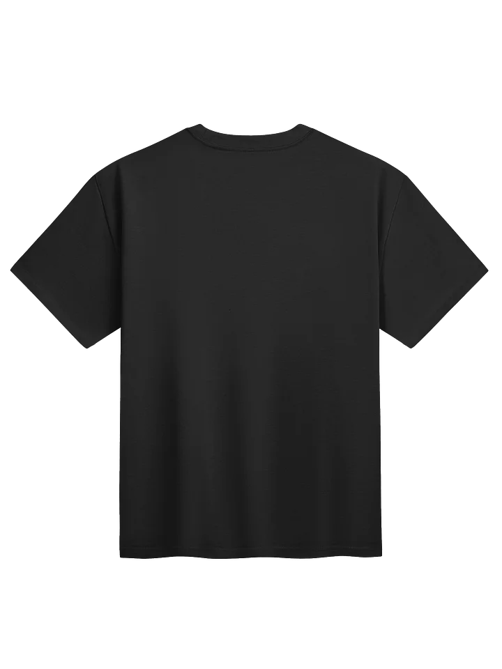 Decoding_Labs Heavyweight T Shirt Front Print product image (2)