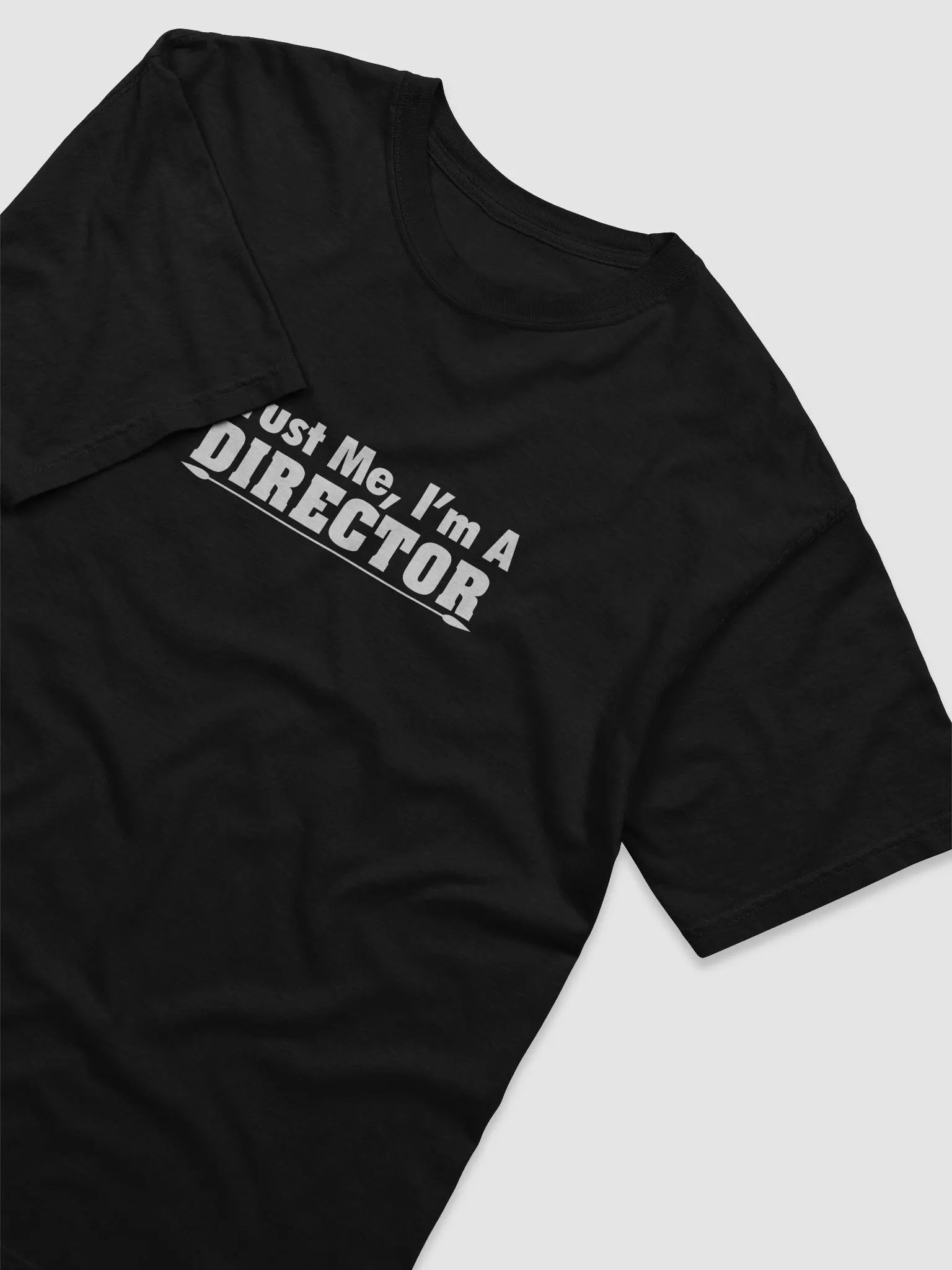 Parks and Recreation Stylized T-Shirt product image (3)