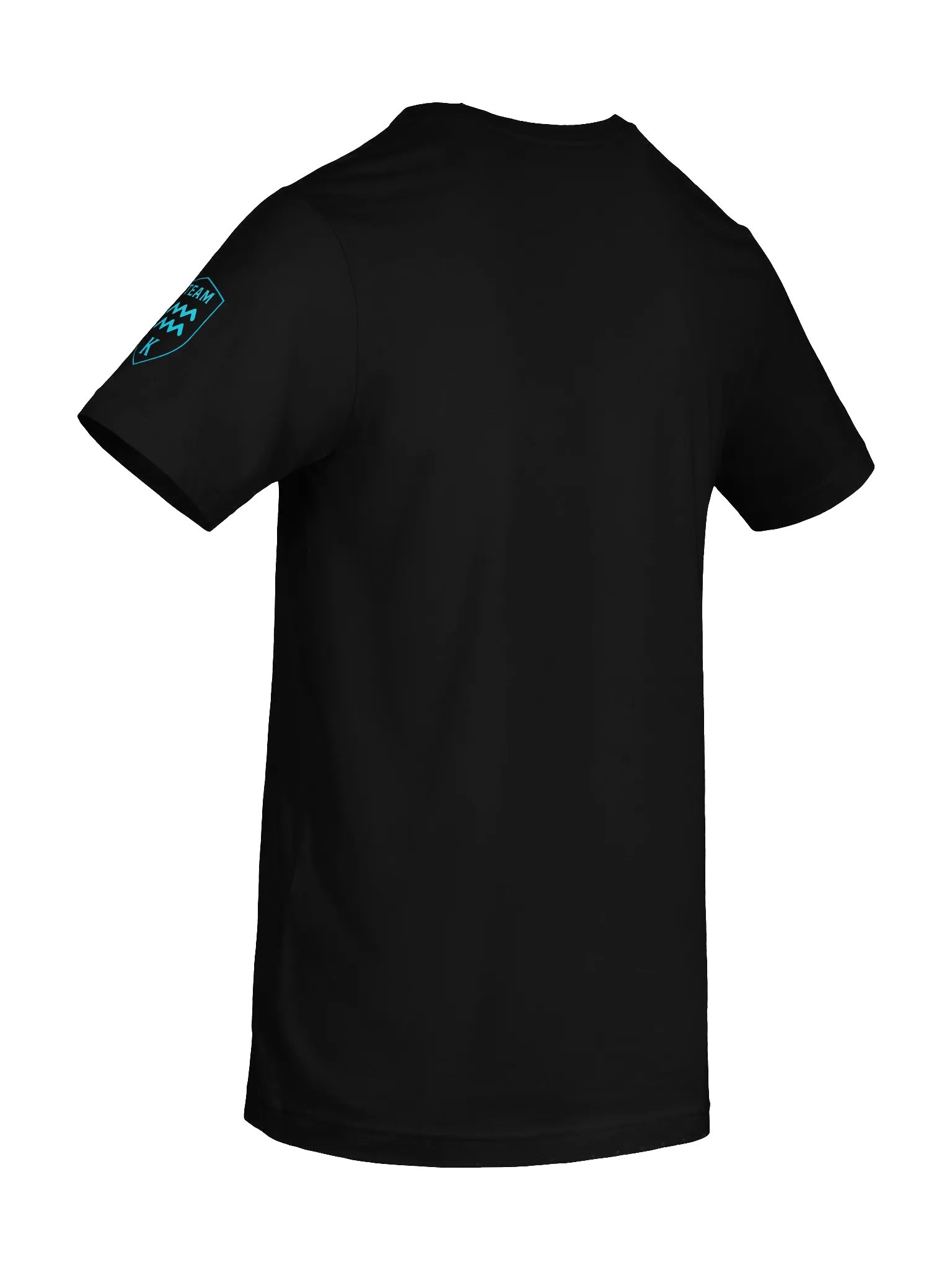 TEAM K Aquarius ZODIAC T-Shirt product image (8)