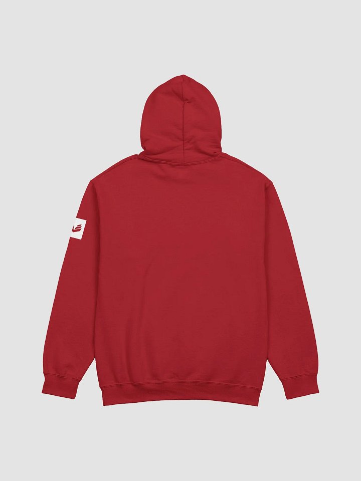 International Movement Hoodie - Red product image (2)
