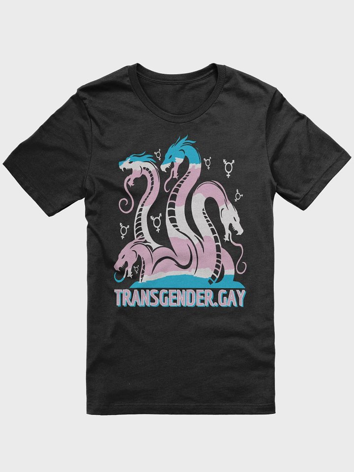 Queerdra Shirt product image (1)