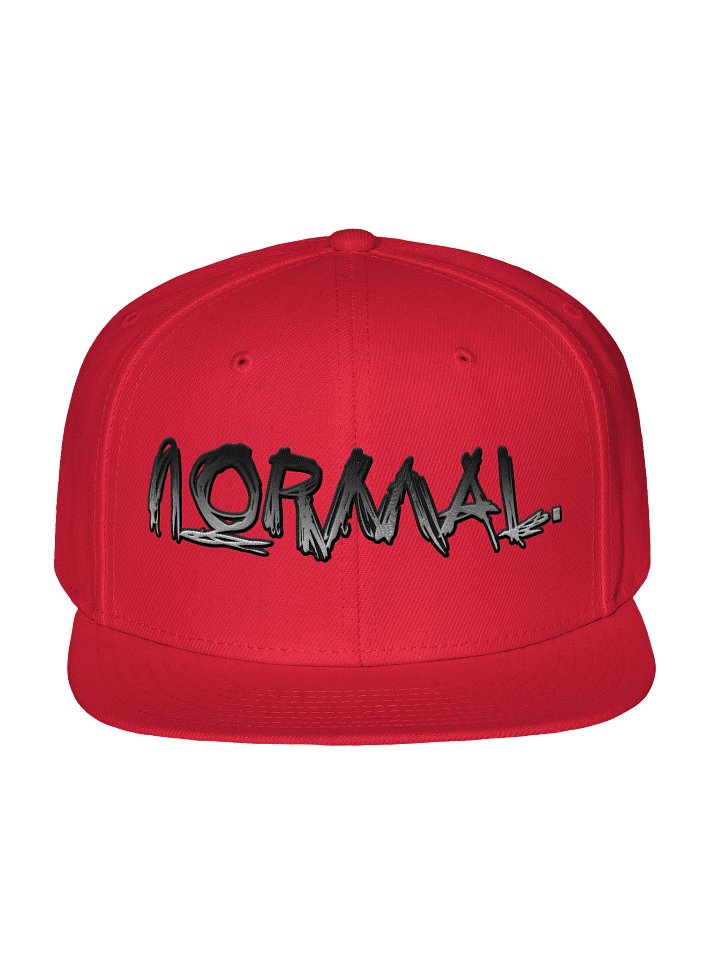 Normal Embroidered Snapback product image (49)