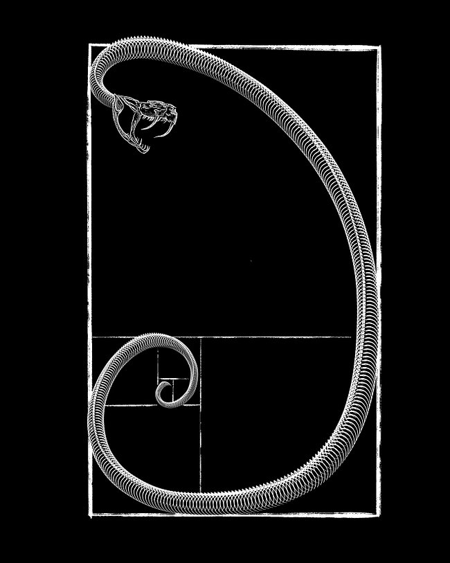 Herpetology