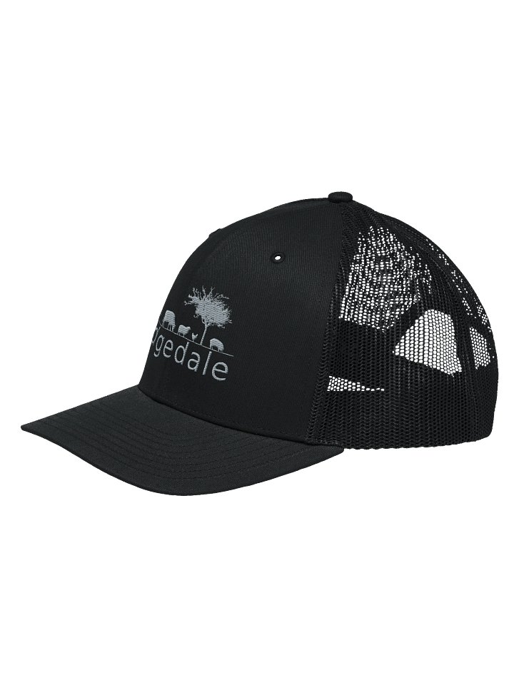 Ridgedale Cap Black product image (2)