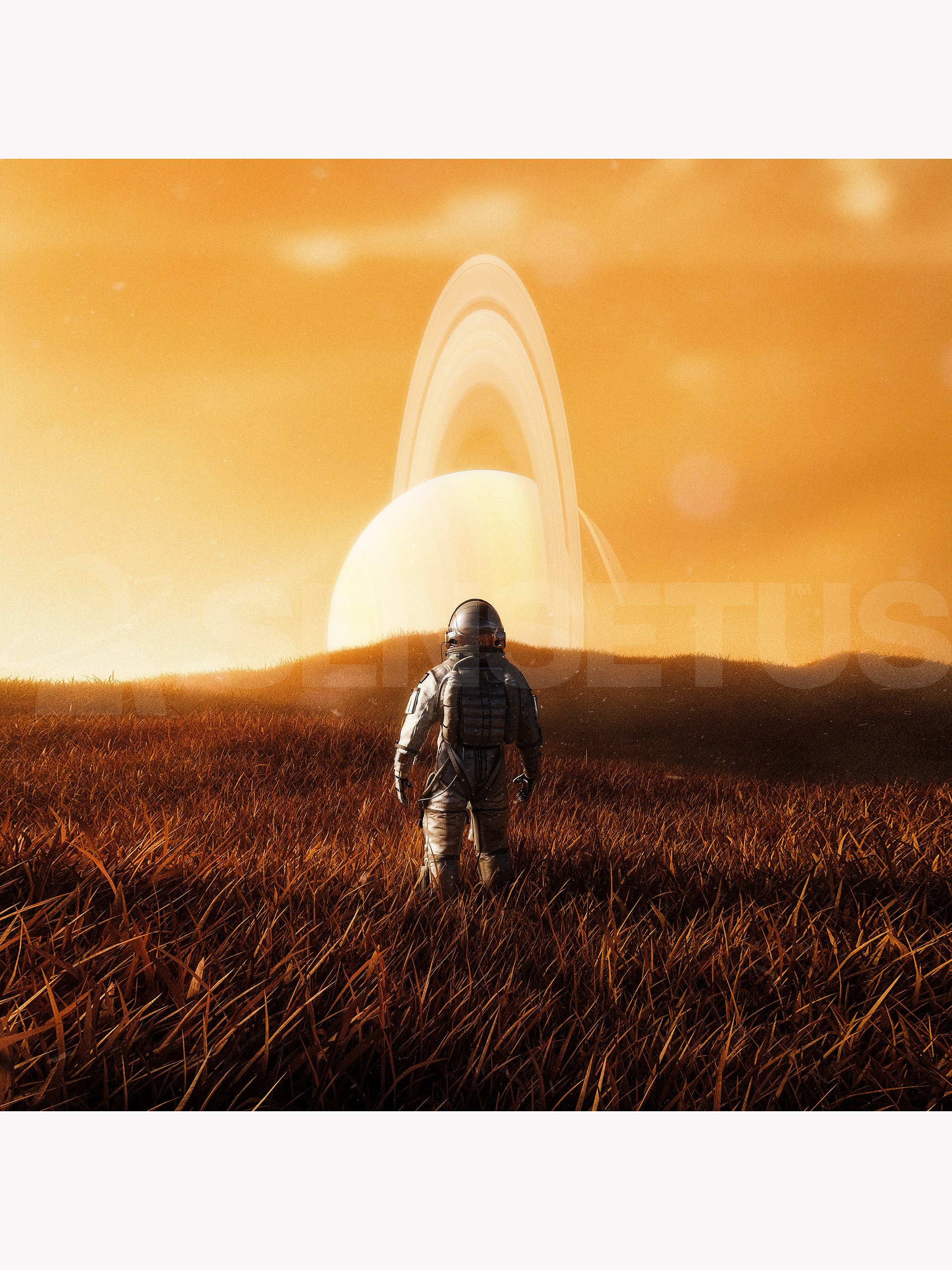 Remoteness License product image (1)
