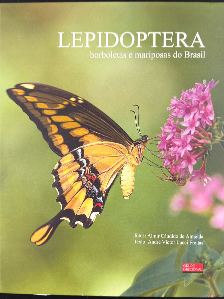 Borboletas e Mariposas do Brasil product image (1)