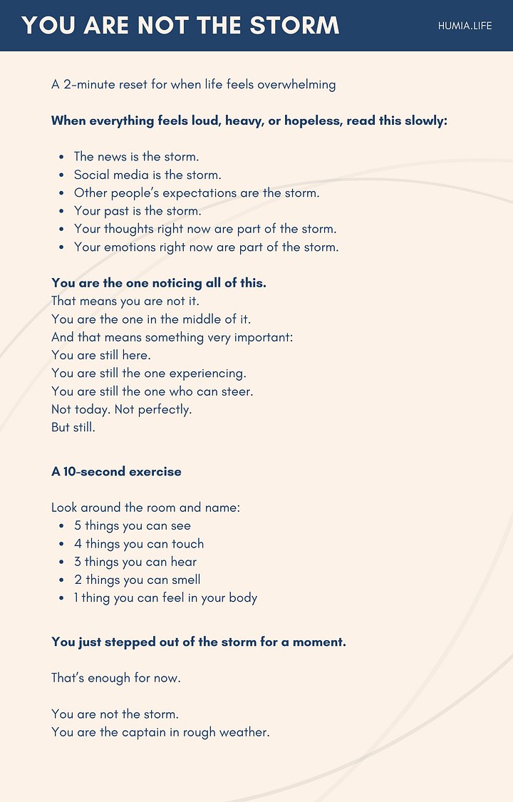 THE LENS RESET product image (2)