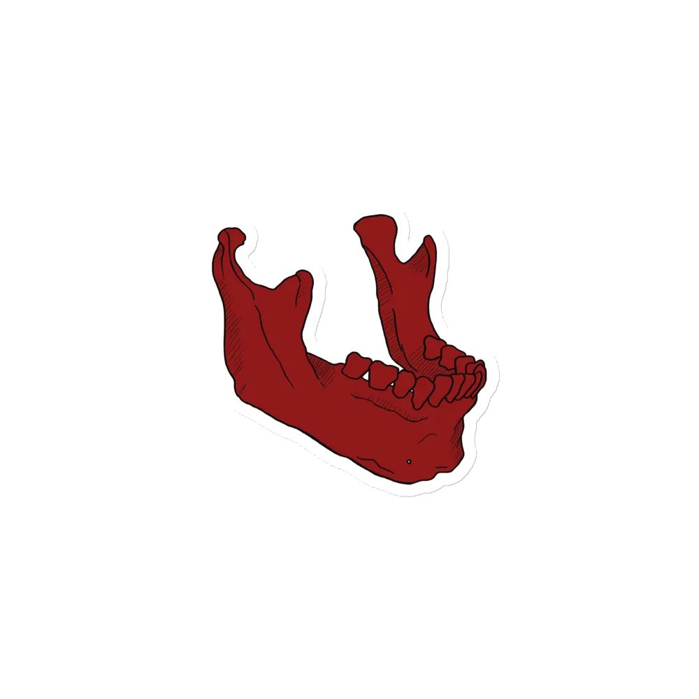 Jaw magnet product image (1)