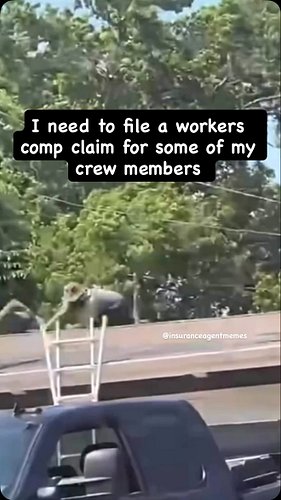 Codes as 8810 #insuranceagentmemes #insuranceagents #claims