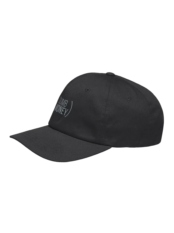 DUMB MONEY Dad Hat product image (2)