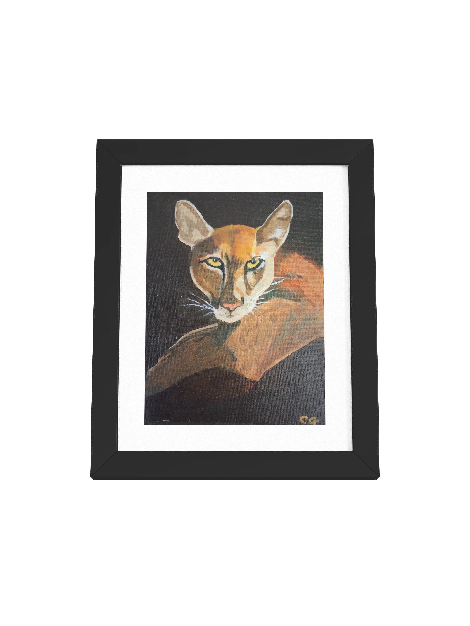 A Serious Puma – Framed Art Print product image (1)
