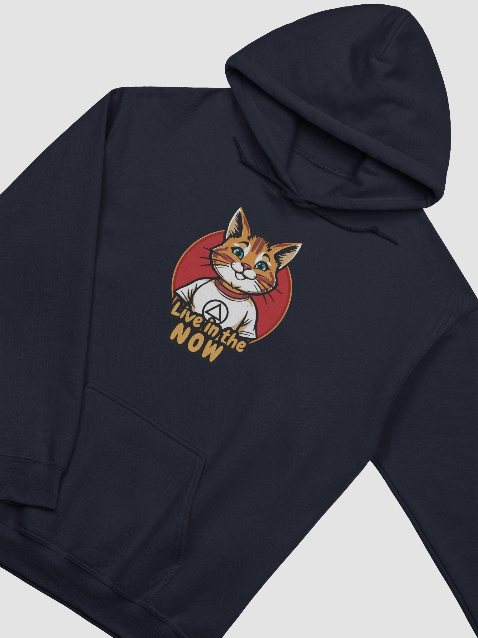 Live in the NOW Cat Lovers AA sobriety & Recovery Hoodie product image (2)