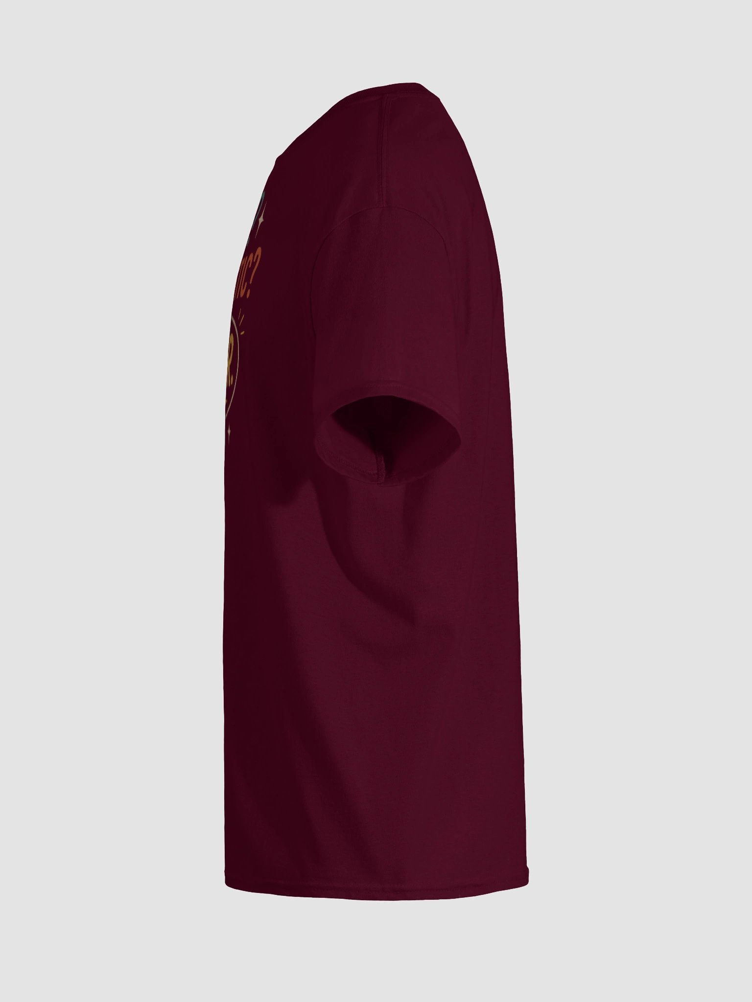 Never Sarcastic Tee – Totally Believable product image (11)