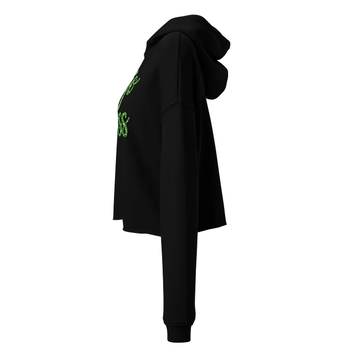 Logo hoodie cropped product image (2)