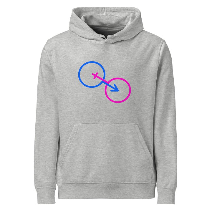 Straight Gender Harmony Organic Hoodie product image (1)