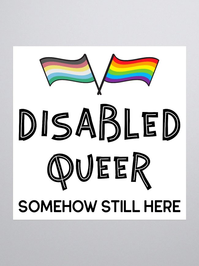Disability Pride Collection