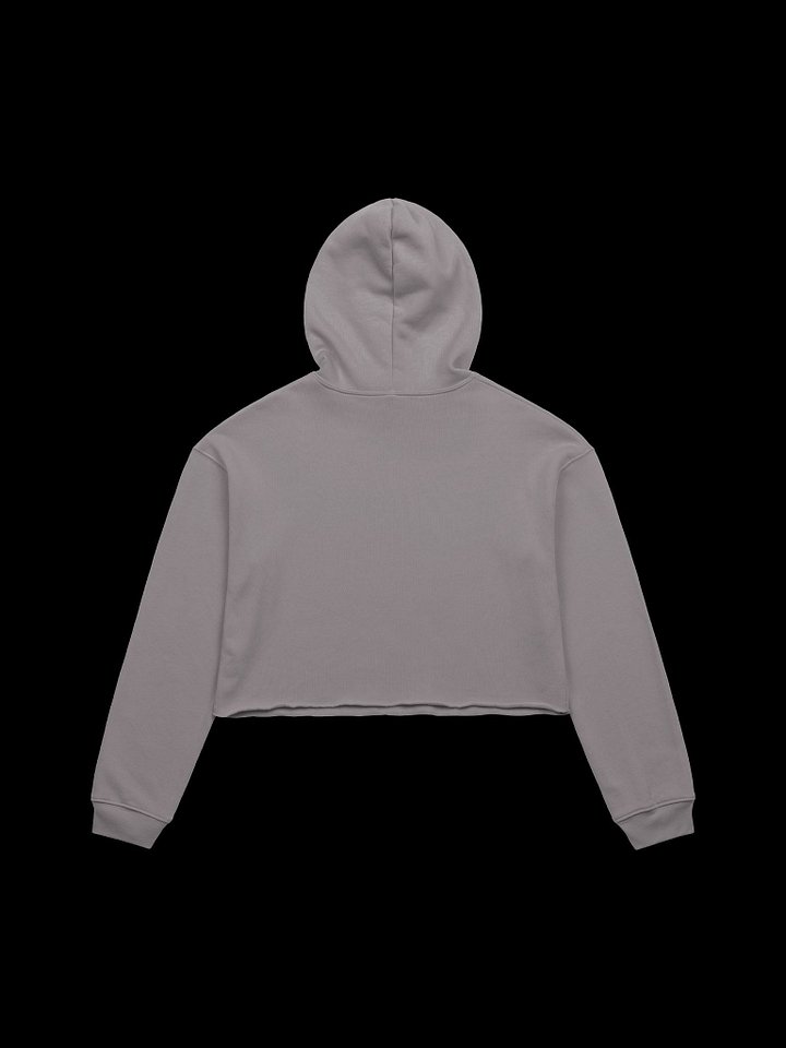 Let's Wrap This Up Coffin Crop Hoodie product image (12)