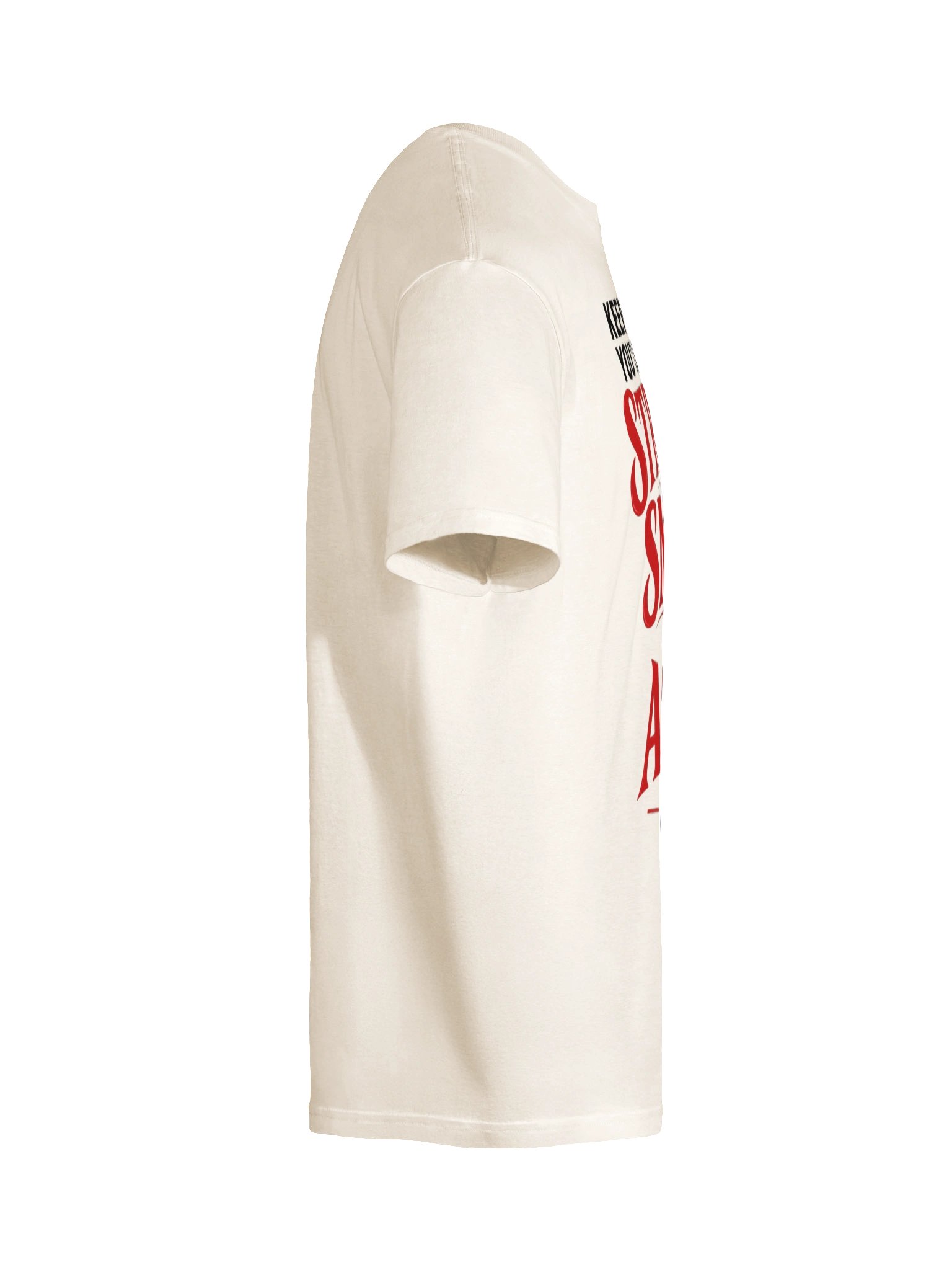 Strange Smell in My Attic T-Shirt product image (12)