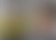 Company Lot's tag thumbnail