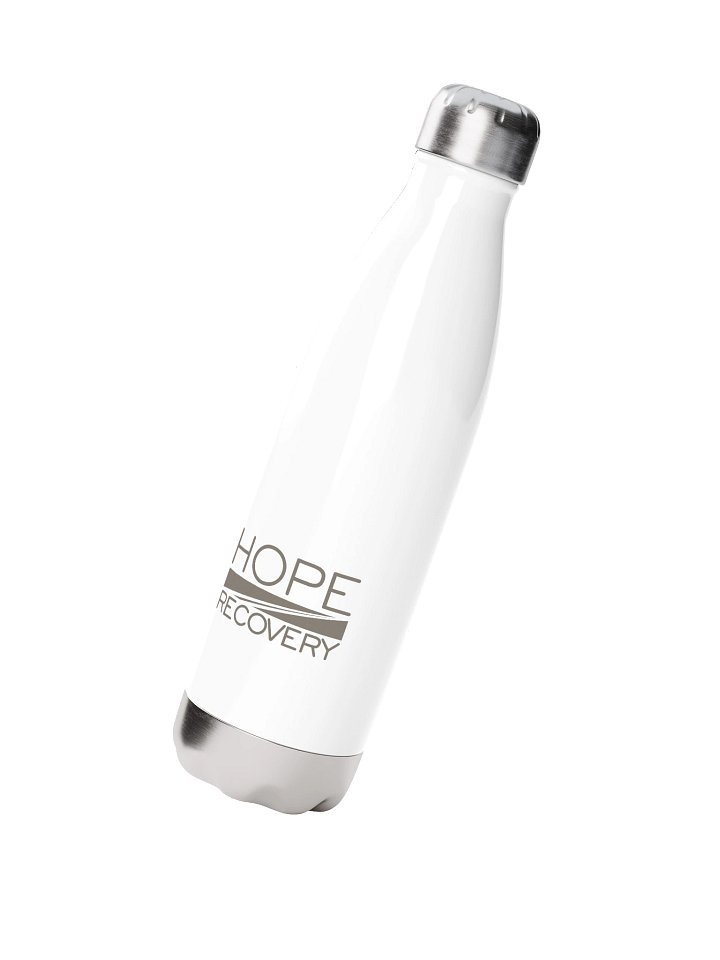 Stainless Steel Water Bottle product image (7)