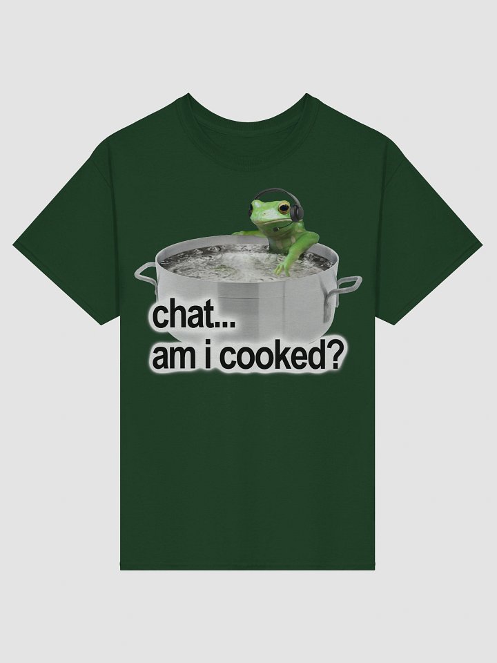 Chat Am I Cooked Frog T-shirt product image (2)