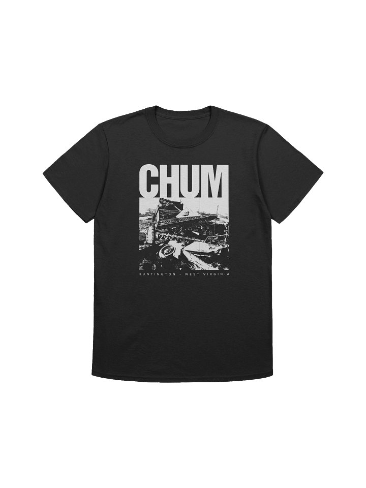 Silver Bridge tee (black) product image (1)