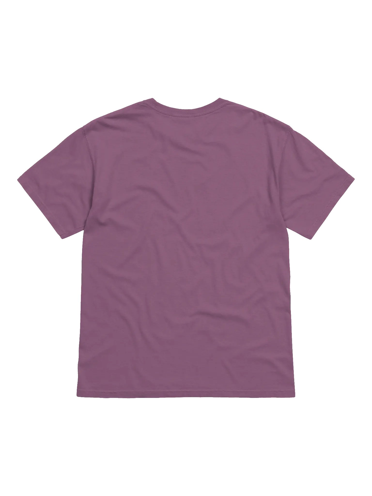 Ultimate Comfort Cotton Tee product image (10)