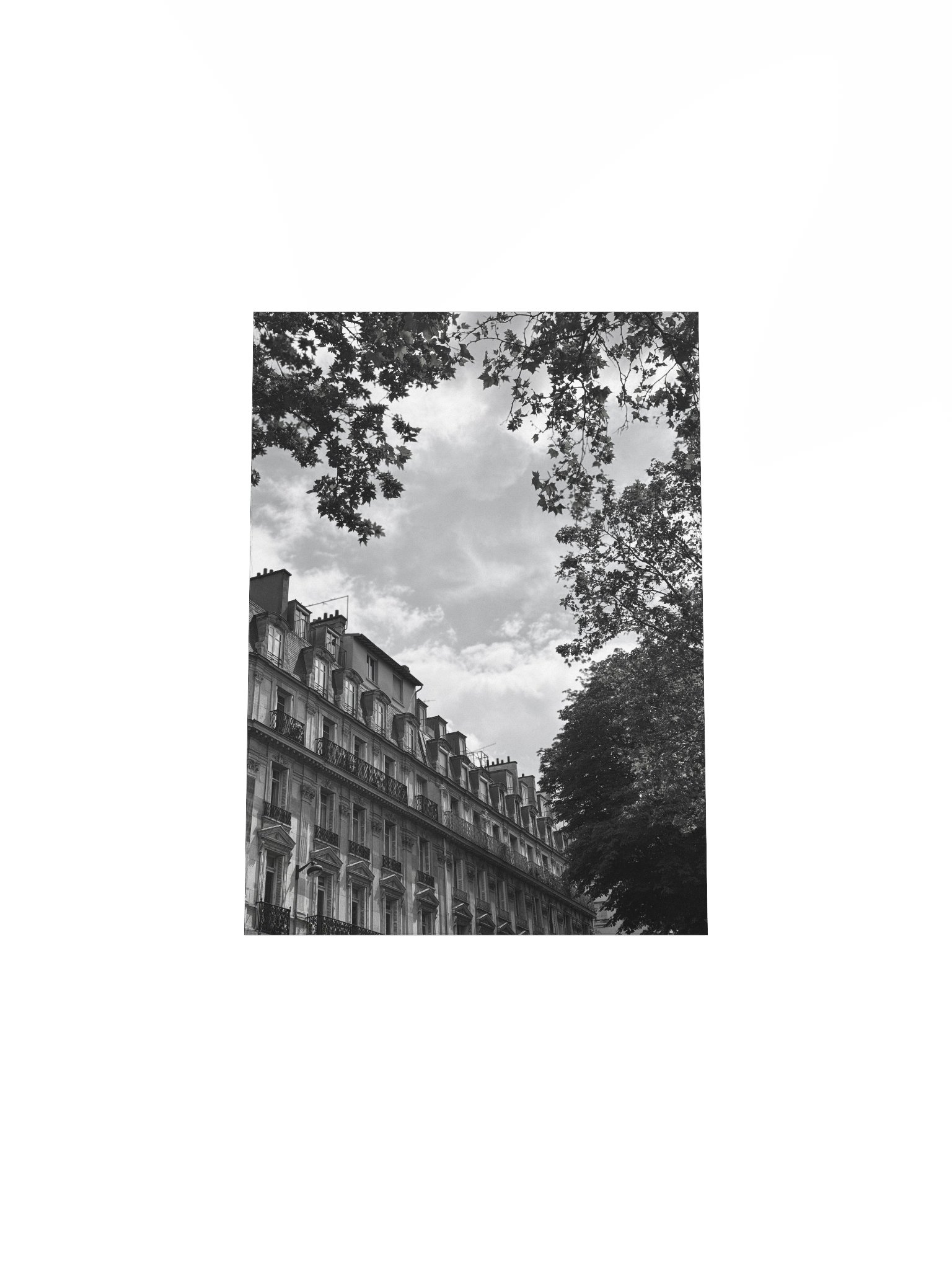 Toits ciel parisien dé-saturé (impression) product image (4)