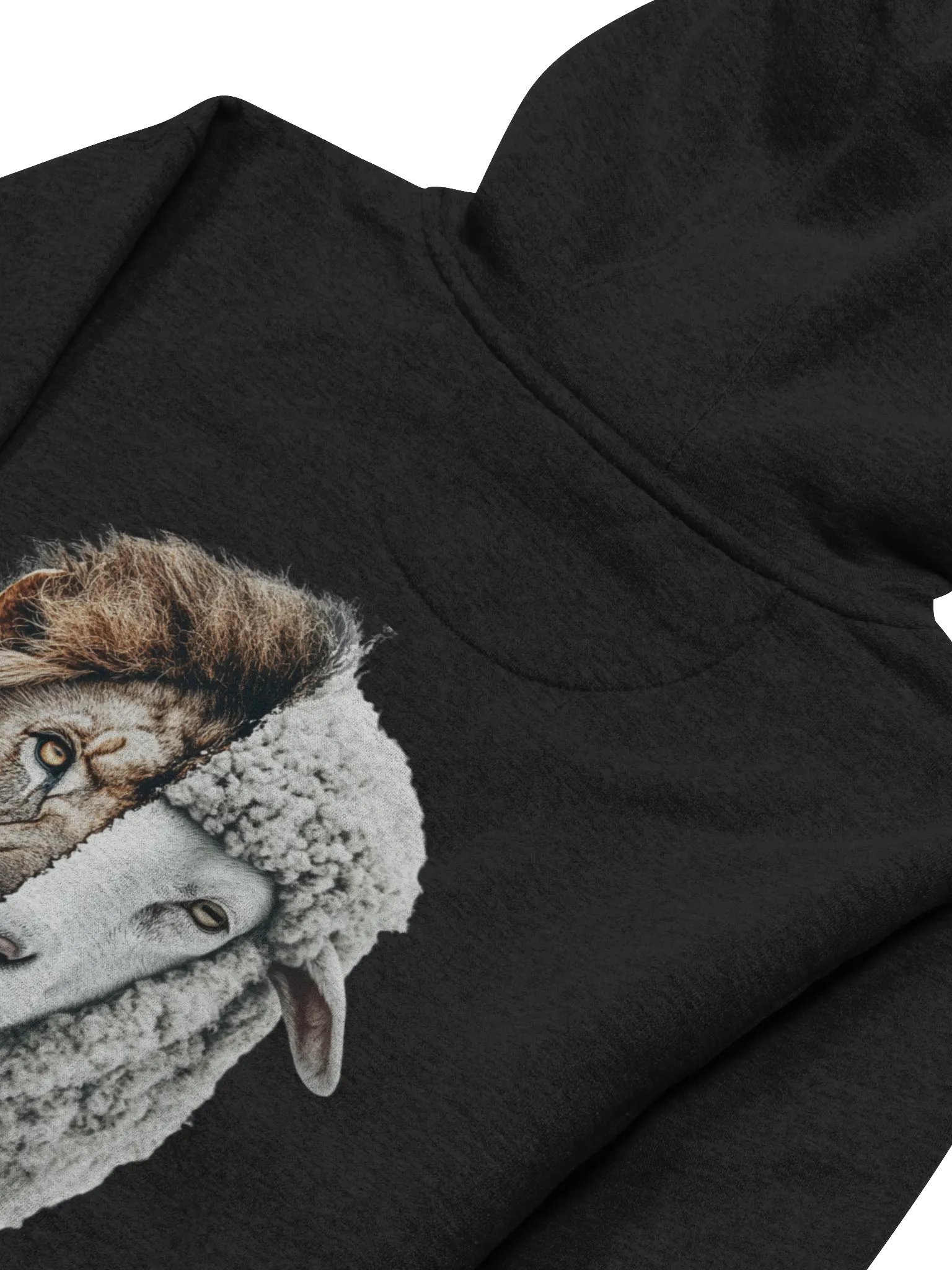 SBG Black Hoodie product image (4)