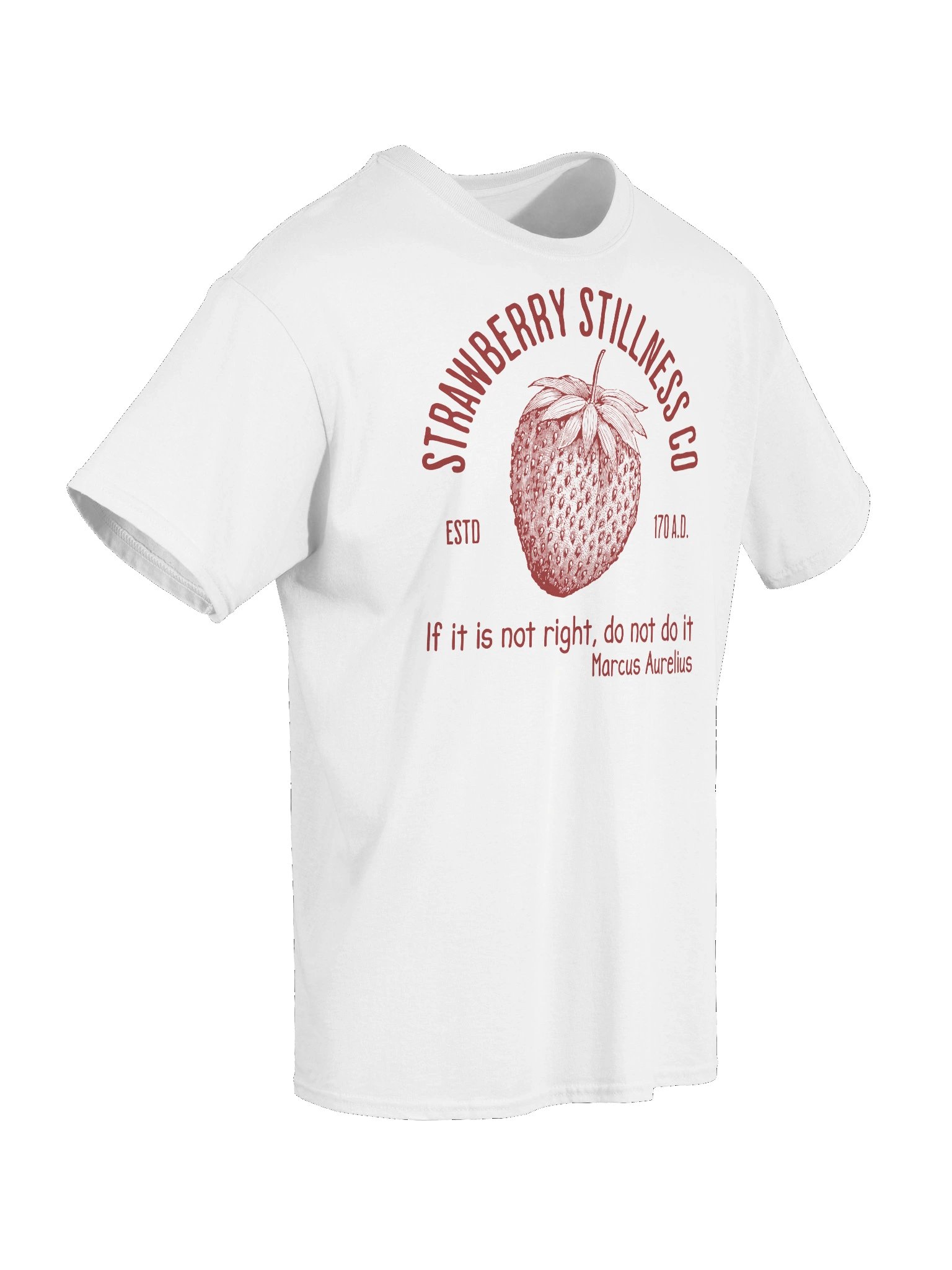 STOIC STRAWBERRY TSHIRT product image (7)
