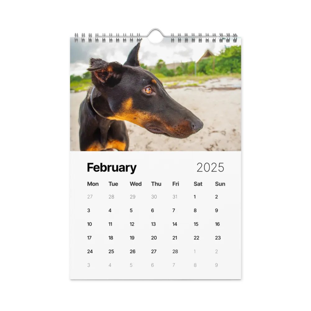 The first year - 2025 Calendar product image (3)