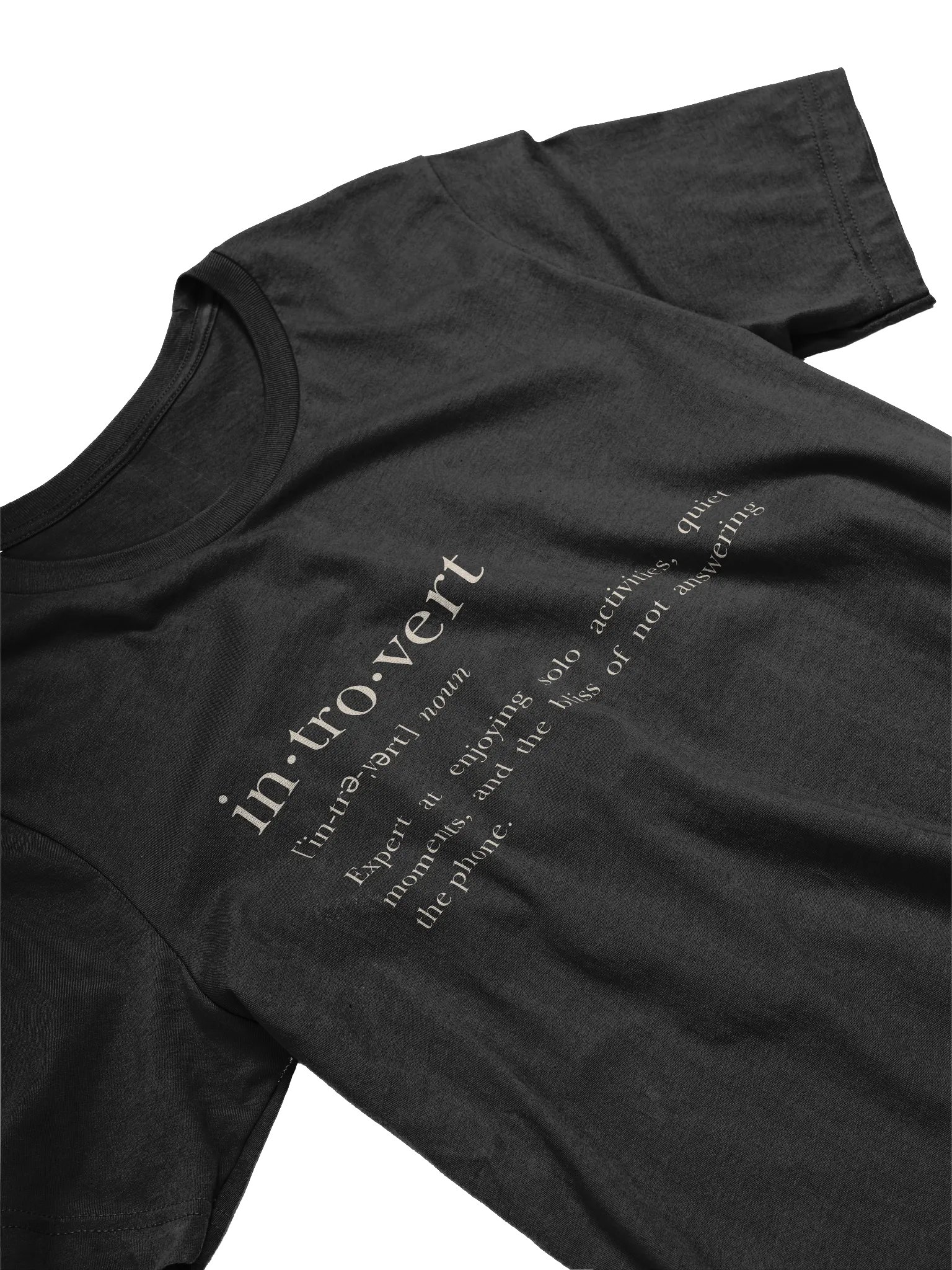 Introvert: Expert at Enjoying Solo Activities T-Shirt product image (4)