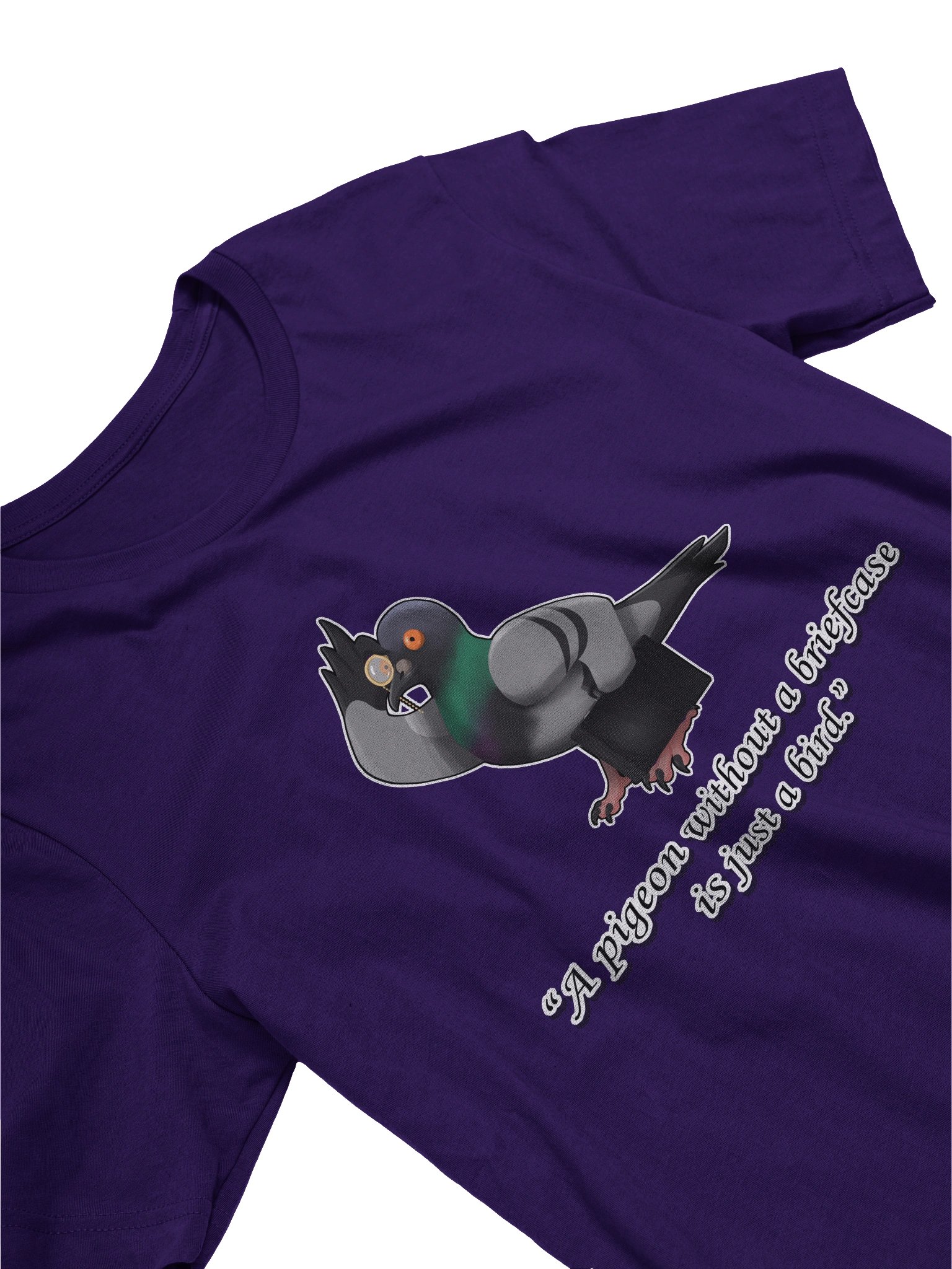 Pigeon Without a Briefcase product image (3)