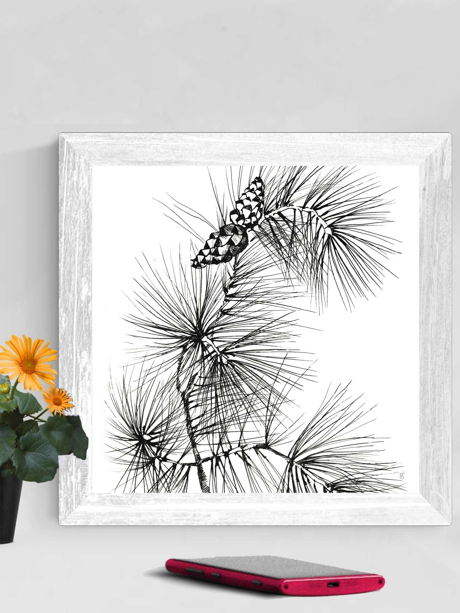 Blank Canvas: Unleash Your Artistic Vision - Pine Branch and Cones product image (101)