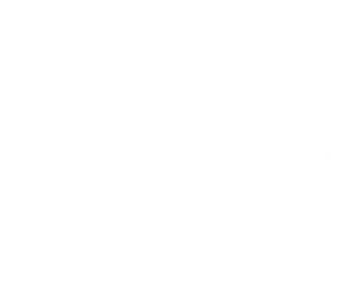 Jes