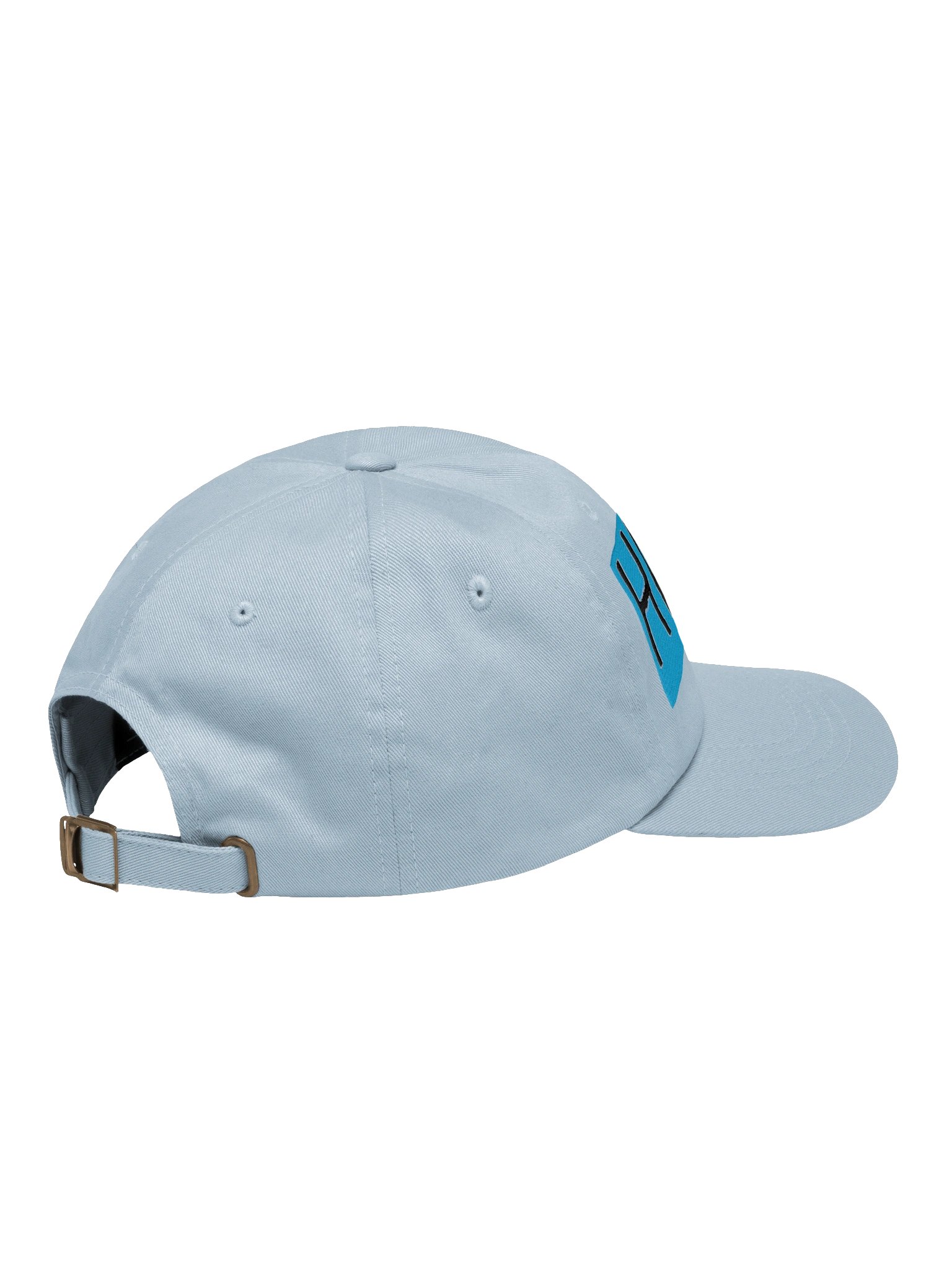HDVVR hat product image (4)