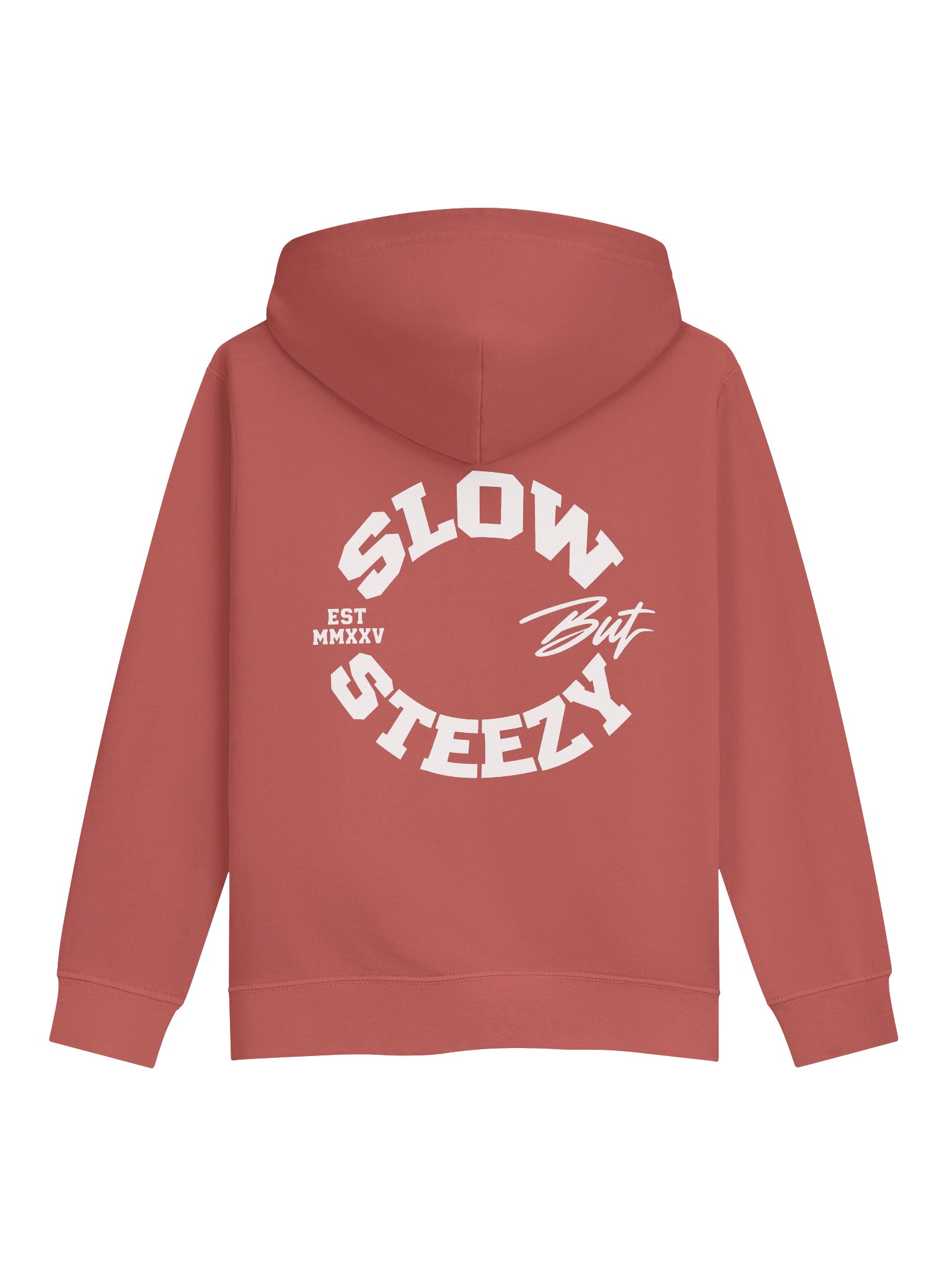SLOW BUT STEEZY | KIDS SIGNATURE TURTLE HOODIE product image (8)