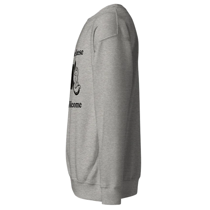 HE&R Sweatshirt product image (3)