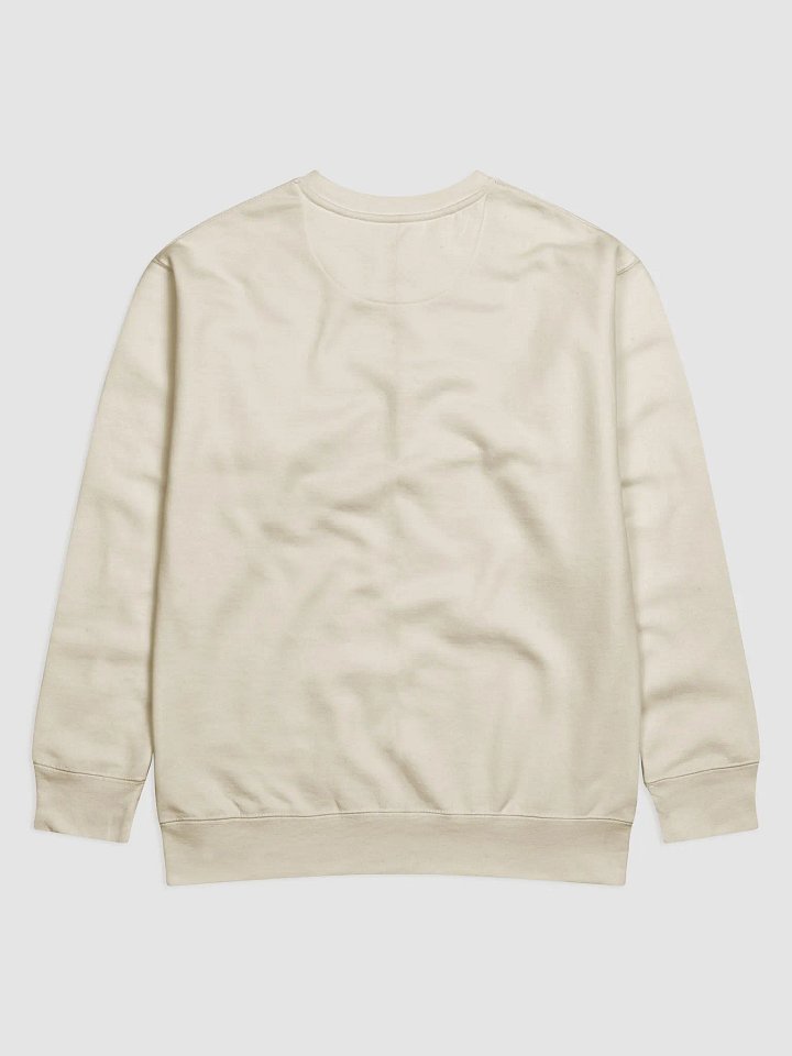 Pray Through It Premium Sweatshirt product image (9)