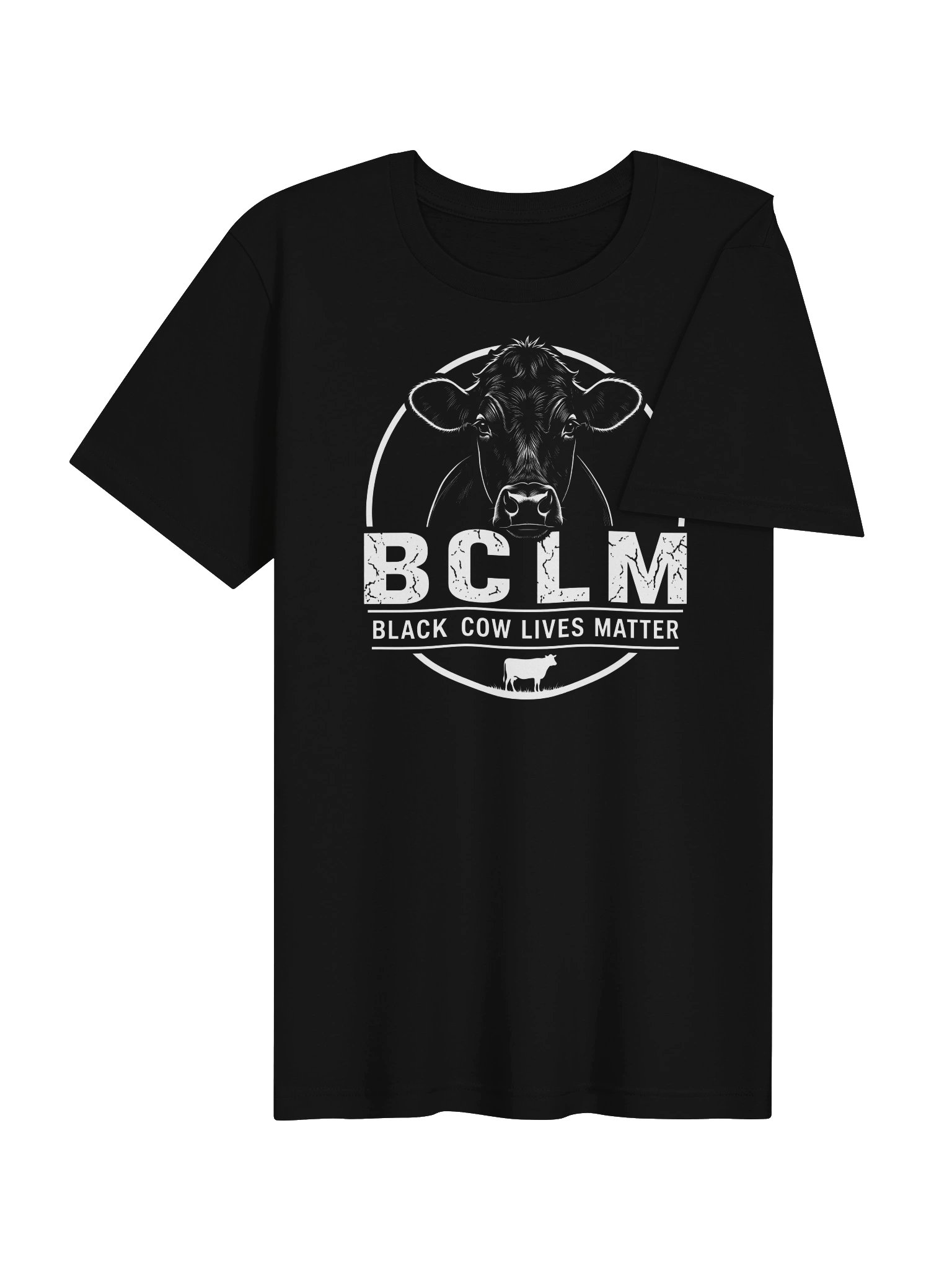 BCLM Flagship Triblend Tee product image (4)