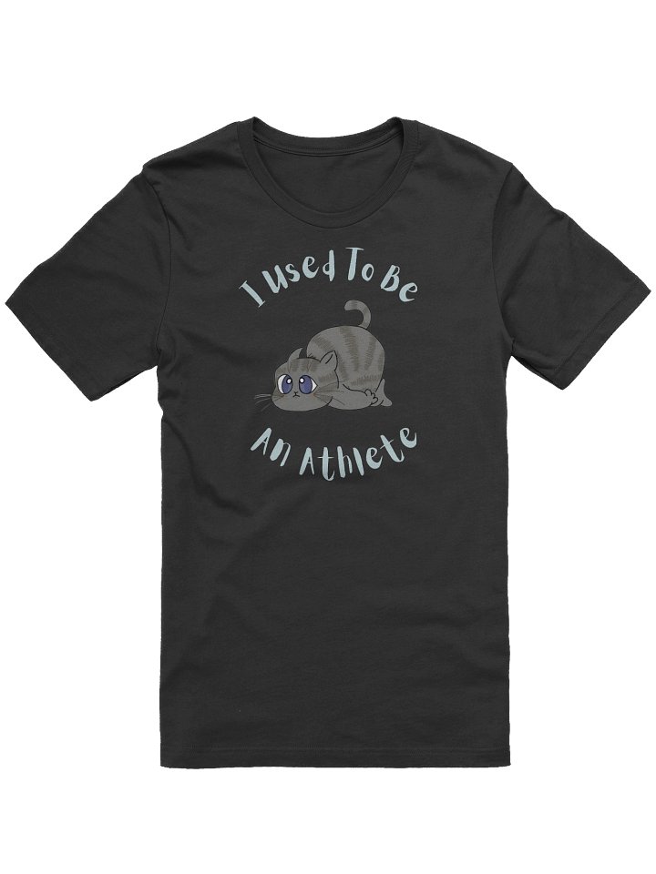Chubby Cat Confession Tee product image (1)