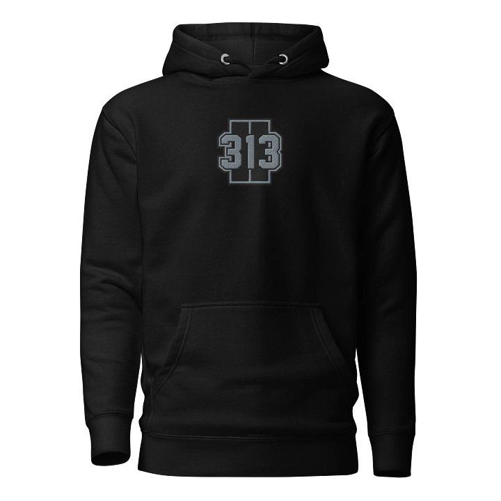 Core 313 Hoodie #4 product image (1)