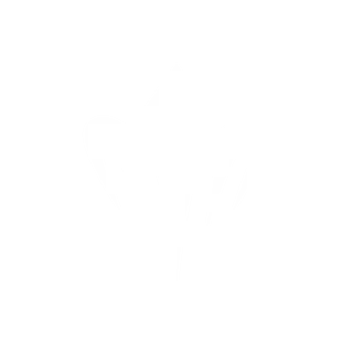 SPK3 | Black Shop