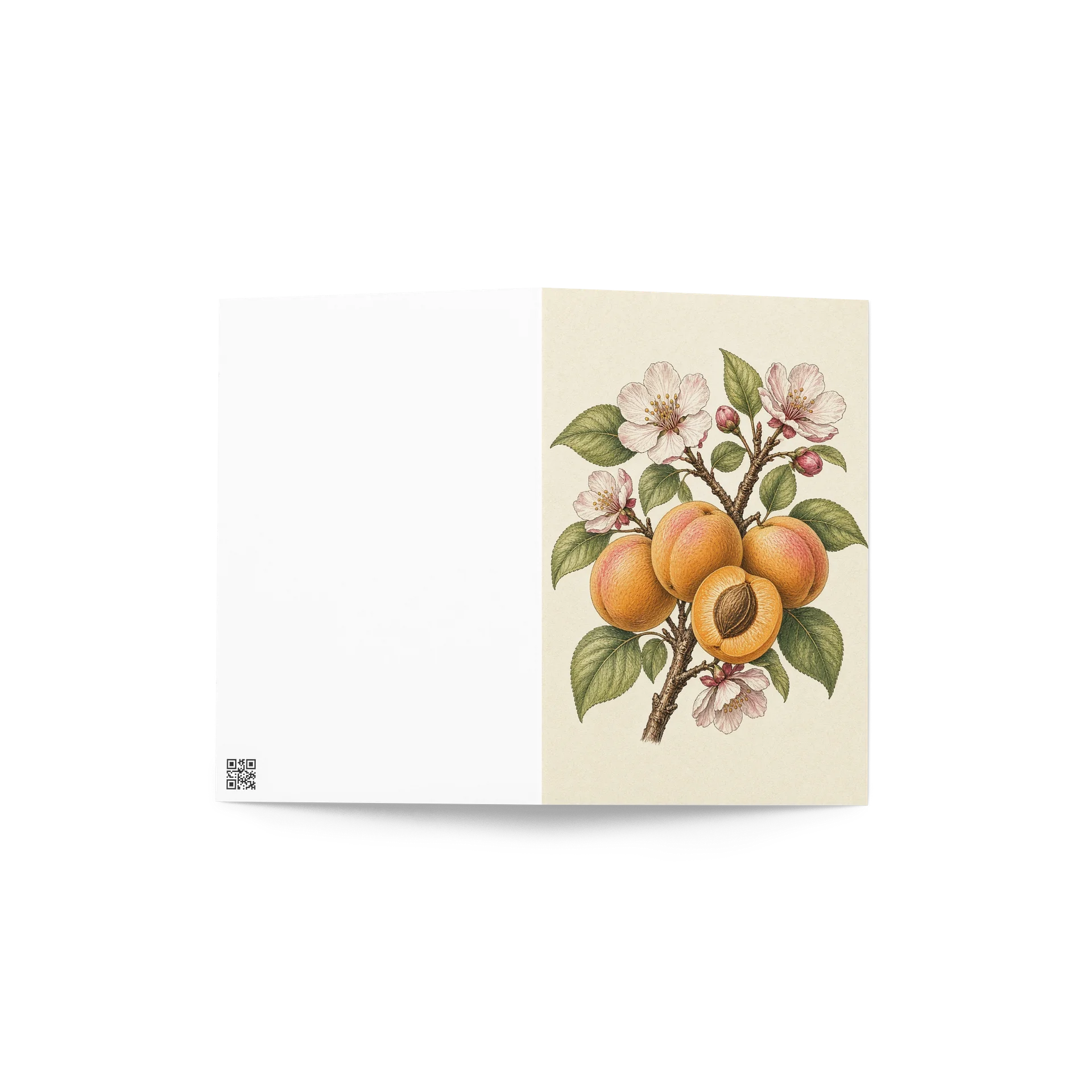 Vintage Apricot Blossom Botanical Greeting Card product image (4)