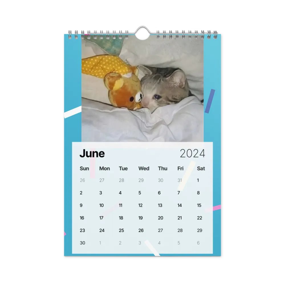 Wall Calendar (2024): Meme Cats product image (12)