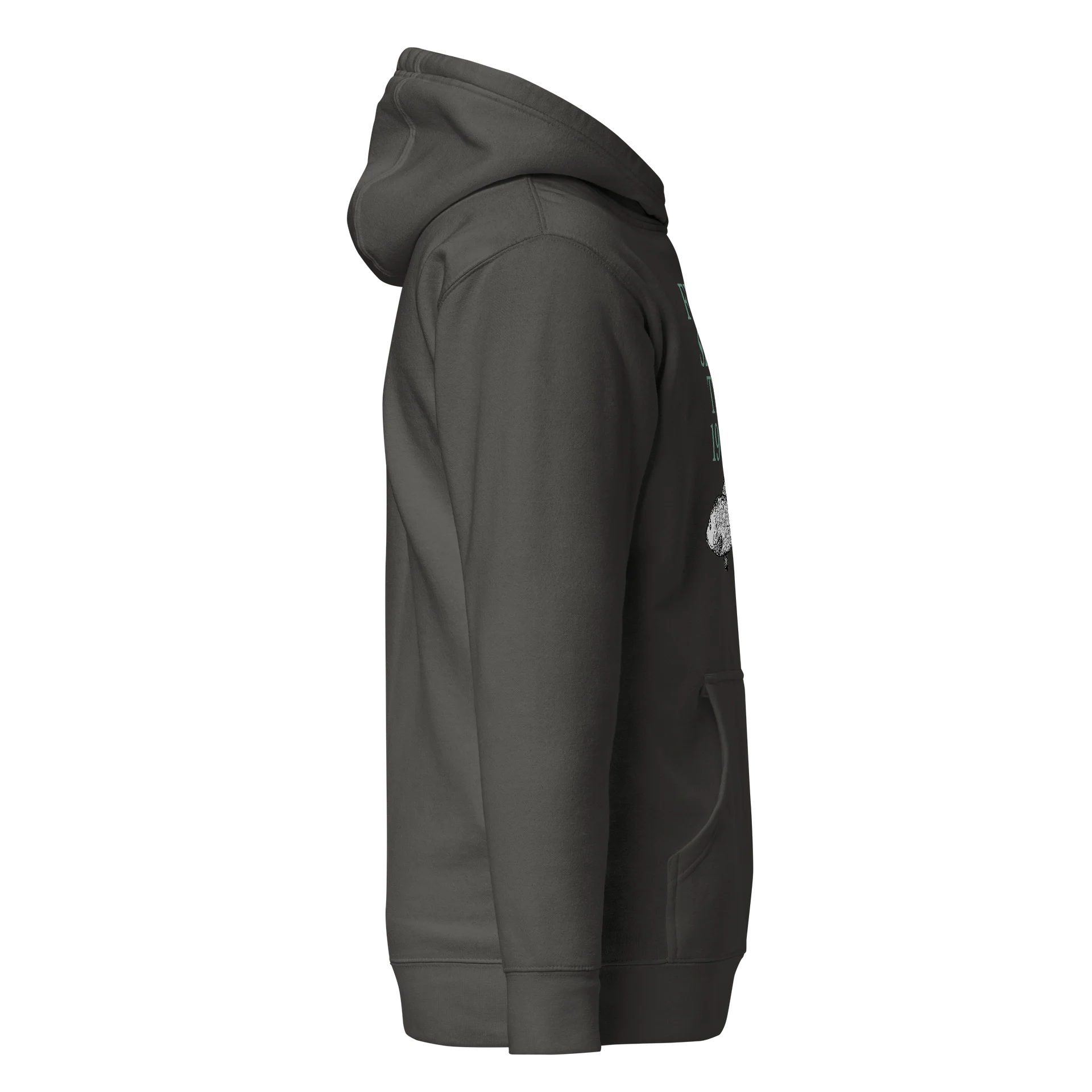 Fishing Since The 1960s Hoodie product image (105)