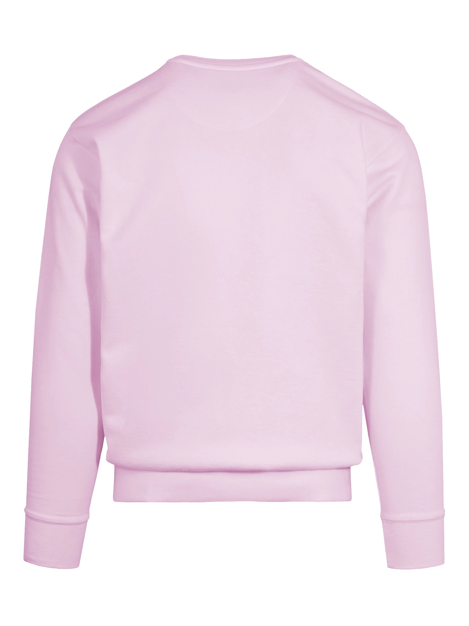 Pullover (Purple Logo) product image (11)