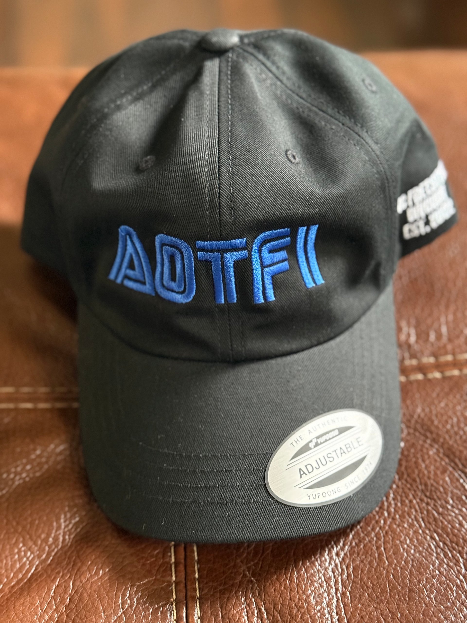 AOTFI Logo Classic Dad Hat product image (3)