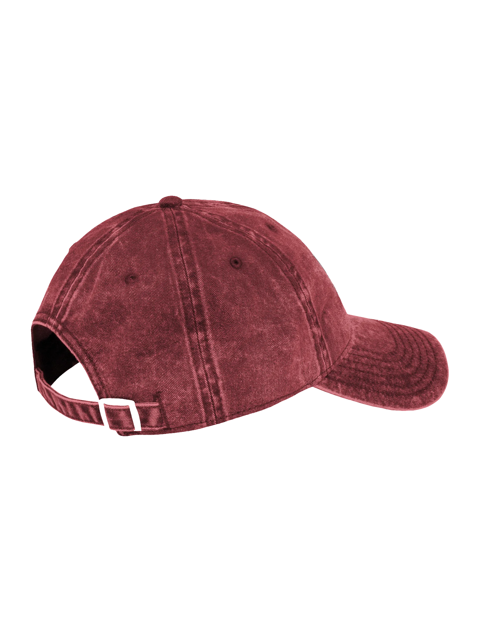 Embroidered Distressed Logo Cap product image (4)